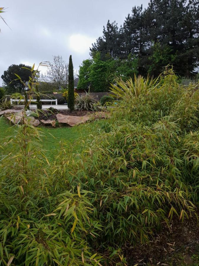 Chambre Dans Un Ecrin De Verdure Bed & Breakfast Angrie Bagian luar foto