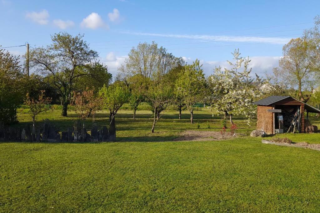 Chambre Dans Un Ecrin De Verdure Bed & Breakfast Angrie Bagian luar foto