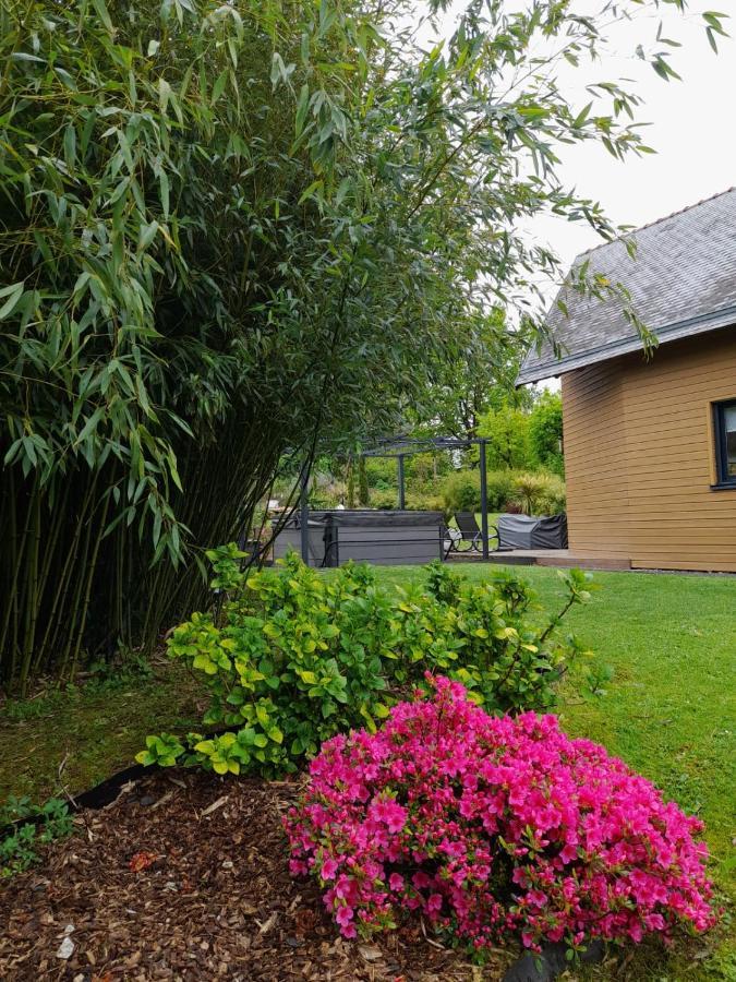 Chambre Dans Un Ecrin De Verdure Bed & Breakfast Angrie Bagian luar foto