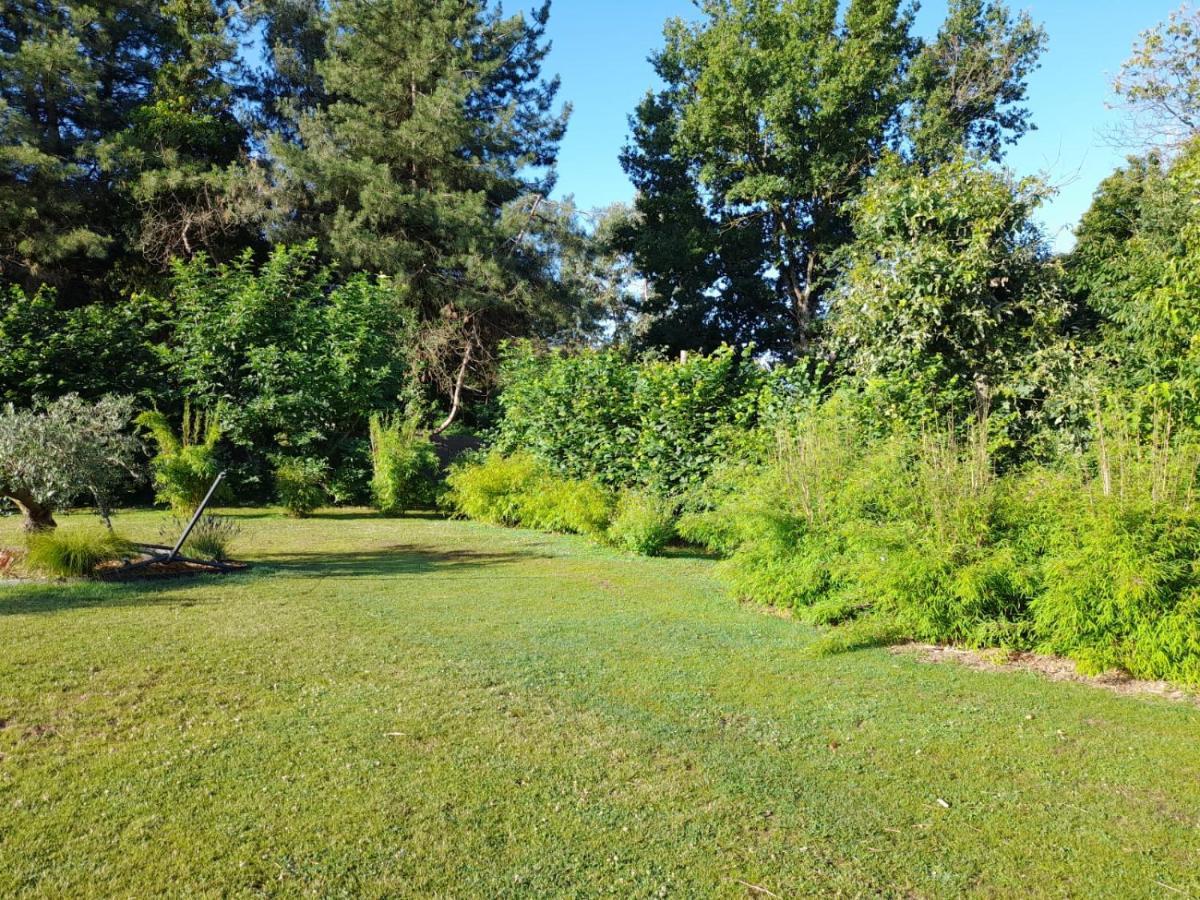 Chambre Dans Un Ecrin De Verdure Bed & Breakfast Angrie Bagian luar foto