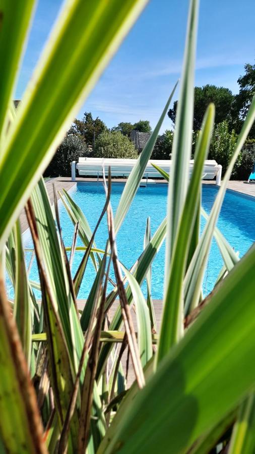 Chambre Dans Un Ecrin De Verdure Bed & Breakfast Angrie Bagian luar foto