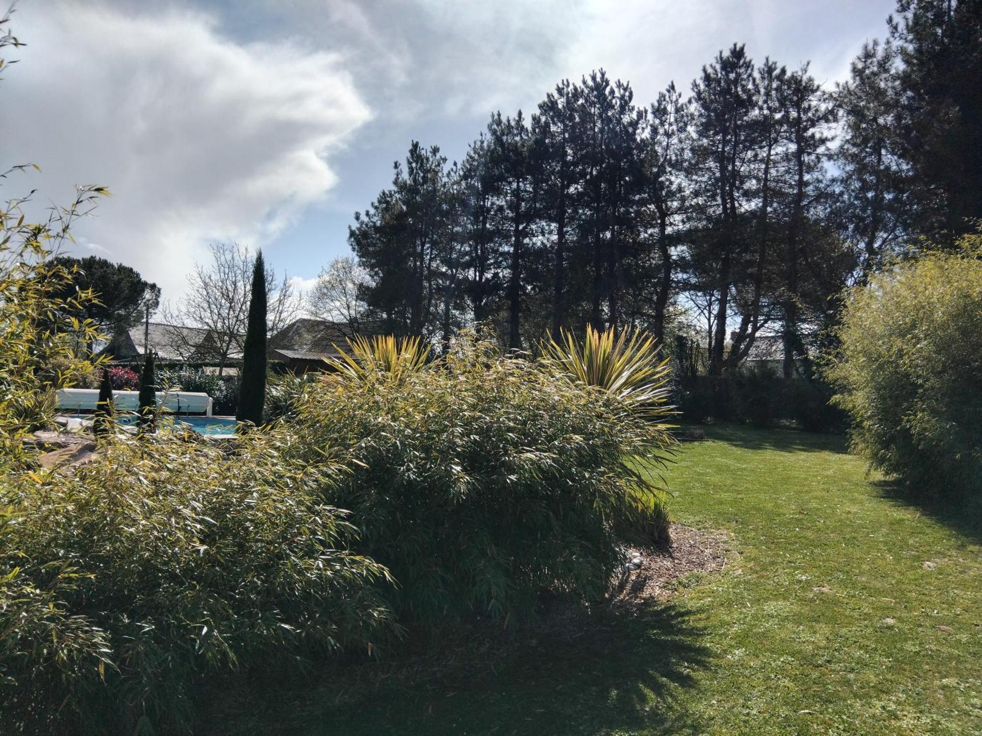 Chambre Dans Un Ecrin De Verdure Bed & Breakfast Angrie Bagian luar foto