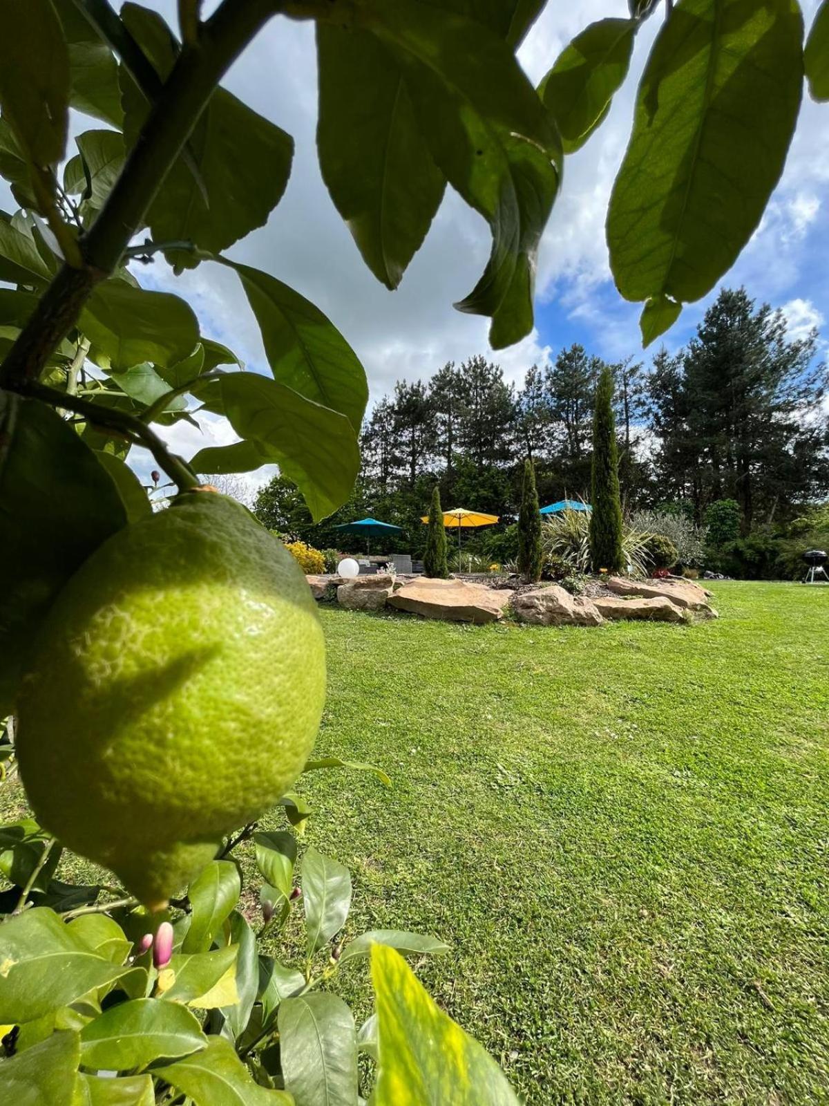 Chambre Dans Un Ecrin De Verdure Bed & Breakfast Angrie Bagian luar foto