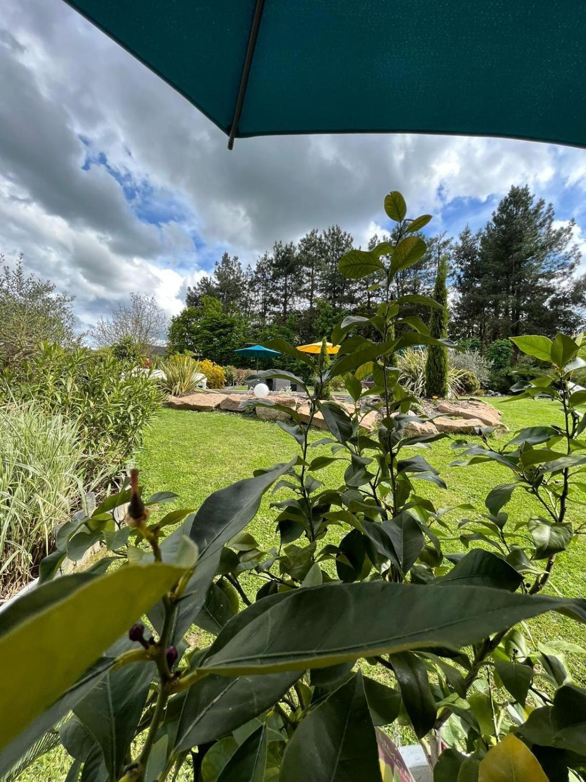 Chambre Dans Un Ecrin De Verdure Bed & Breakfast Angrie Bagian luar foto