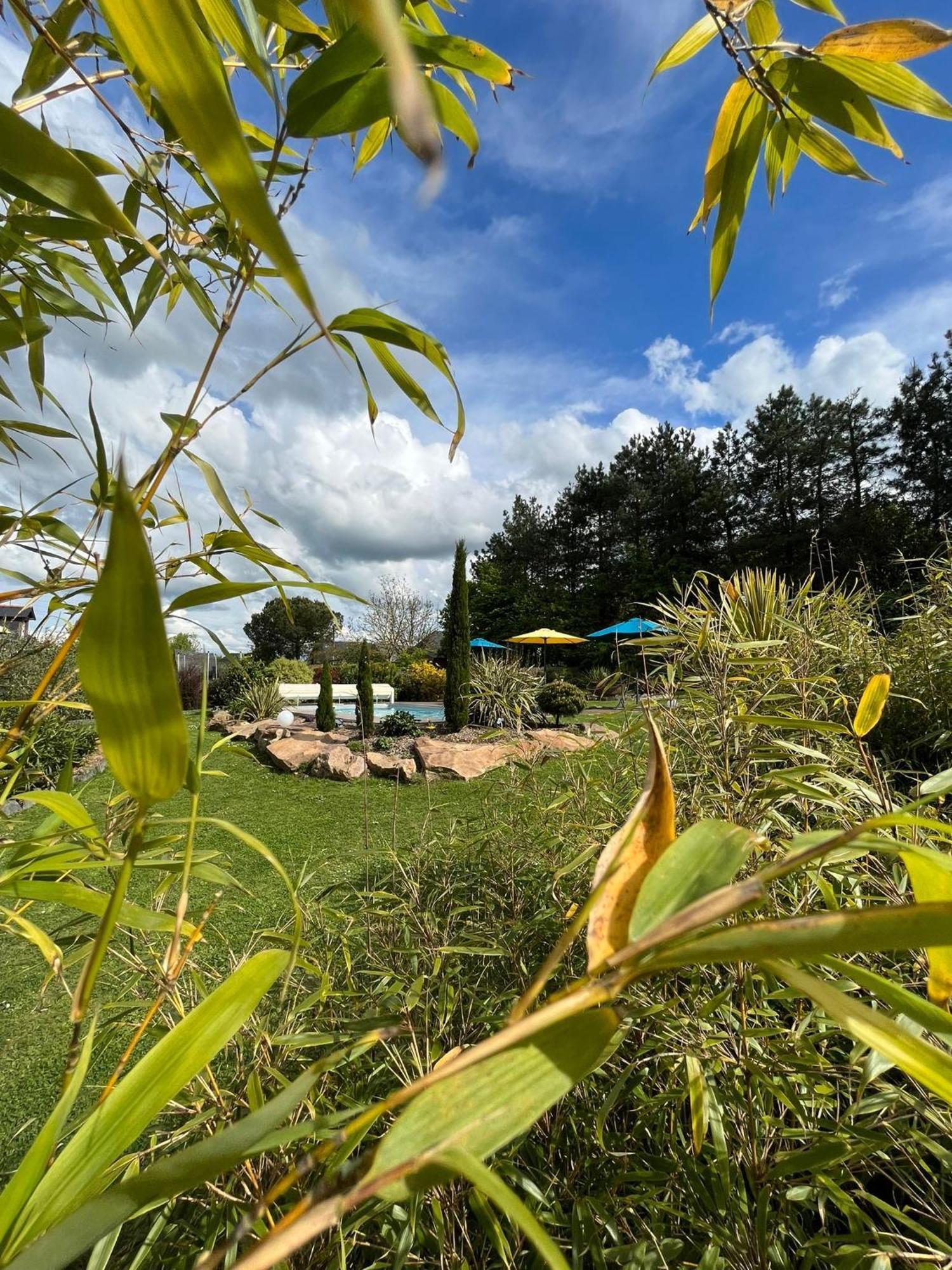 Chambre Dans Un Ecrin De Verdure Bed & Breakfast Angrie Bagian luar foto